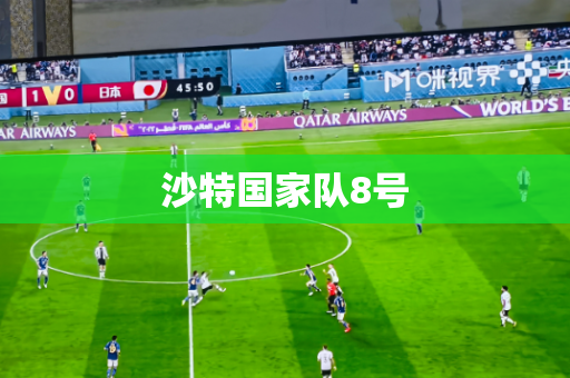 沙特国家队8号