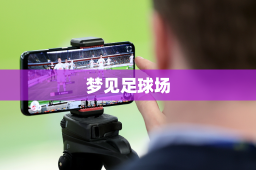 梦见足球场 梦见足球场