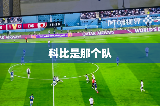 科比是那个队