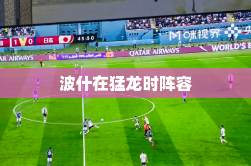 波什在猛龙时阵容 波什在猛龙时阵容