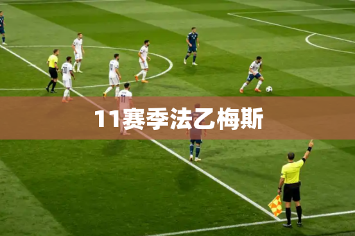 11赛季法乙梅斯