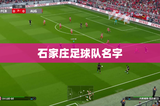 石家庄足球队名字 石家庄足球队名字