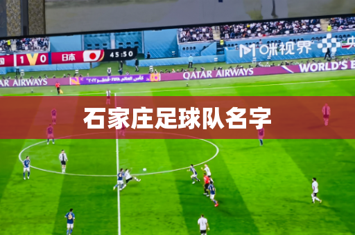 石家庄足球队名字