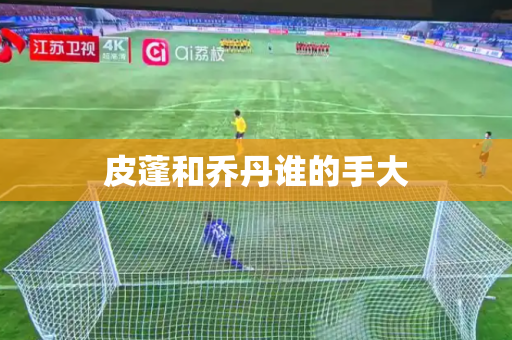 皮蓬和乔丹谁的手大 皮蓬和乔丹谁的手大