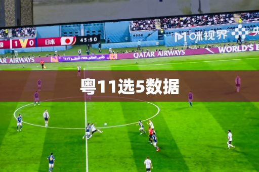 粤11选5数据 粤11选5数据