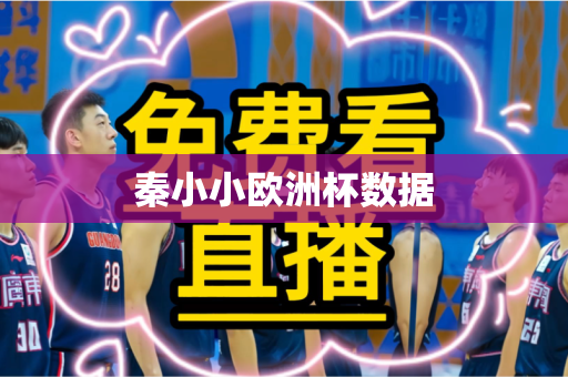 秦小小欧洲杯数据 秦小小欧洲杯数据
