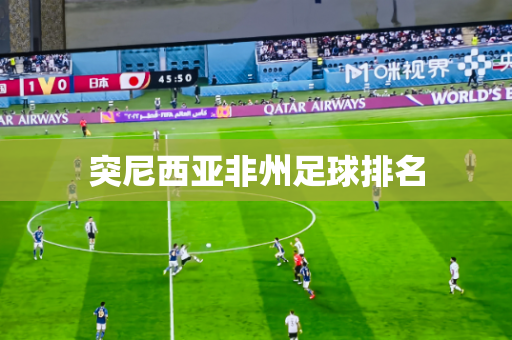 突尼西亚非州足球排名