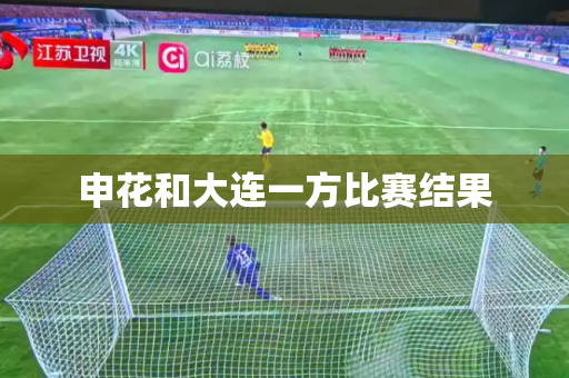 申花和大连一方比赛结果
