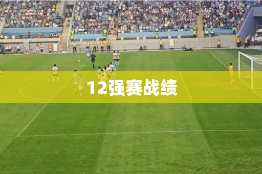 12强赛战绩 12强赛战绩