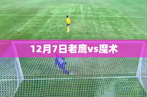 12月7日老鹰vs魔术