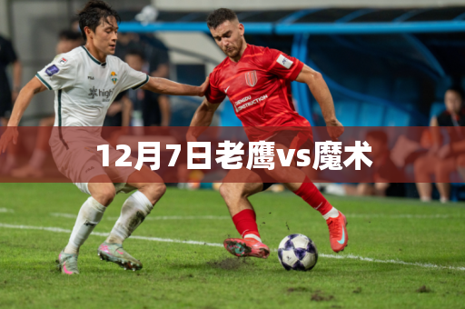 12月7日老鹰vs魔术