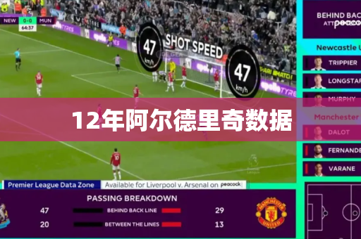 12年阿尔德里奇数据