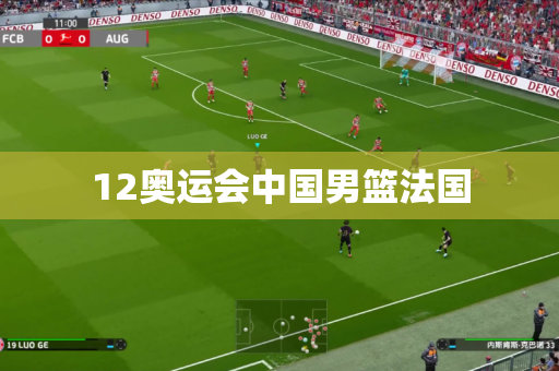 12奥运会中国男篮法国
