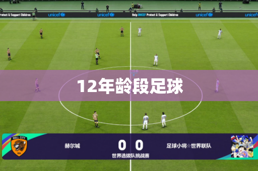 12年龄段足球