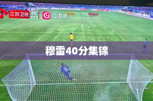 穆雷40分集锦