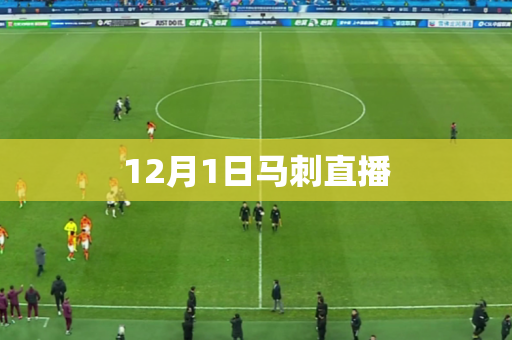 12月1日马刺直播