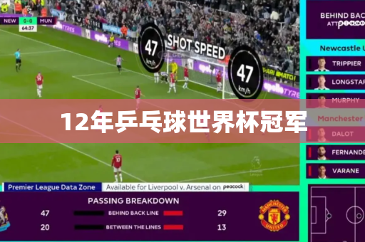 12年乒乓球世界杯冠军