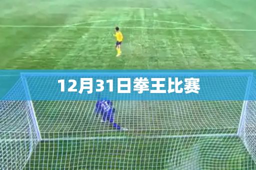 12月31日拳王比赛