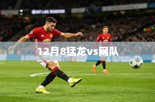 12月8猛龙vs网队 12月8猛龙vs网队