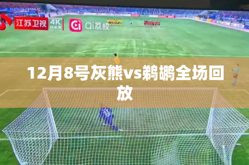 12月8号灰熊vs鹈鹕全场回放