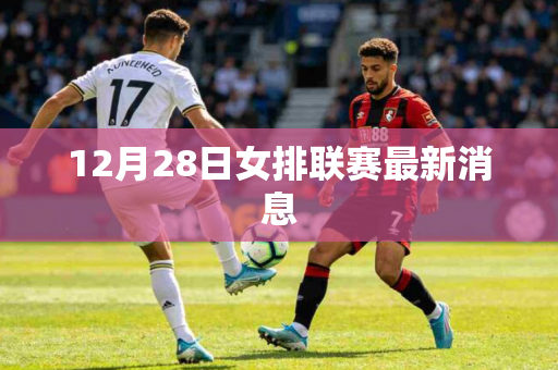 12月28日女排联赛最新消息 12月28日女排联赛最新消息