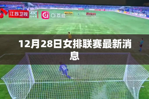 12月28日女排联赛最新消息