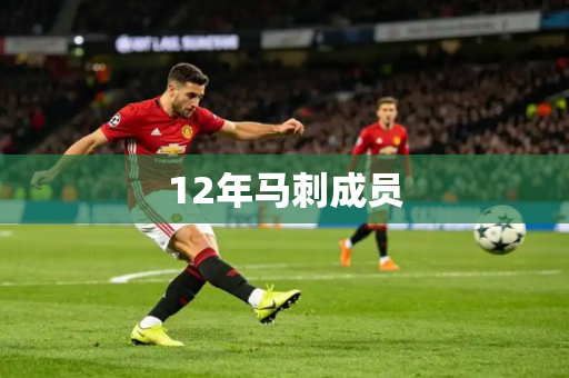 12年马刺成员
