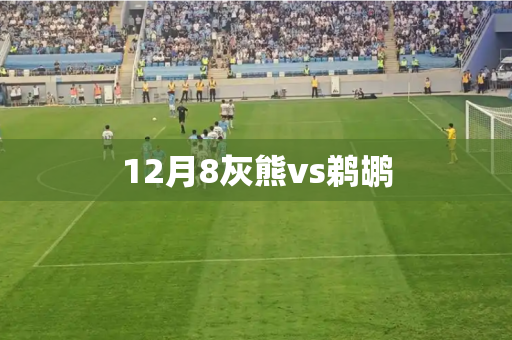 12月8灰熊vs鹈鹕 12月8灰熊vs鹈鹕