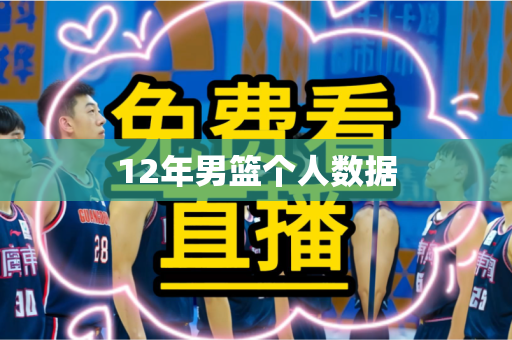 12年男篮个人数据