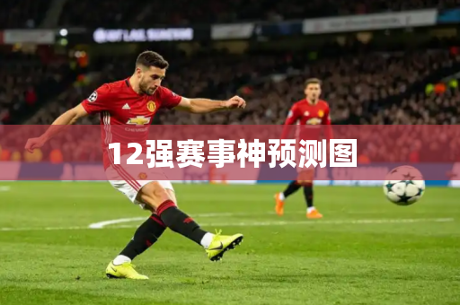 12强赛事神预测图