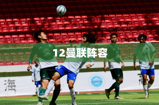 12曼联阵容