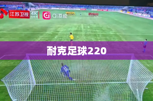耐克足球220
