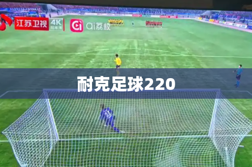 耐克足球220
