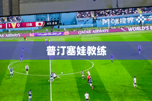 普汀塞娃教练 普汀塞娃教练