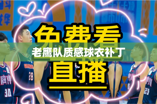 老鹰队质感球衣补丁 老鹰队质感球衣补丁
