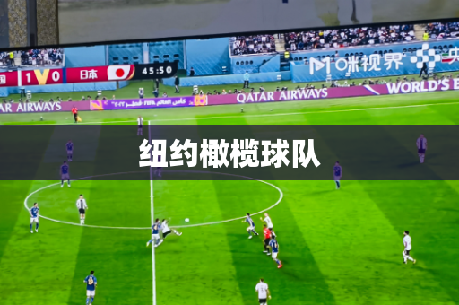 纽约橄榄球队