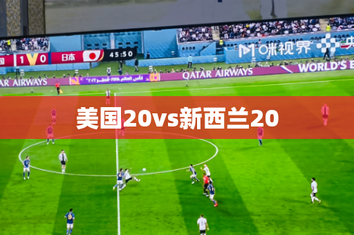美国20vs新西兰20