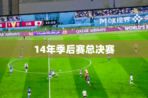 14年季后赛总决赛