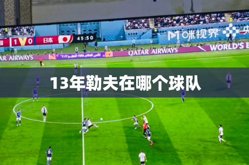 13年勒夫在哪个球队 13年勒夫在哪个球队