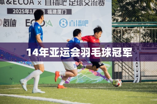 14年亚运会羽毛球冠军