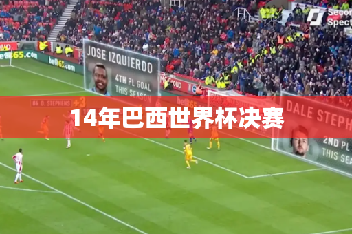 14年巴西世界杯决赛
