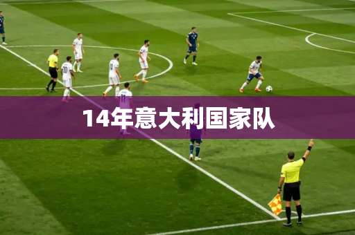 14年意大利国家队 14年意大利国家队