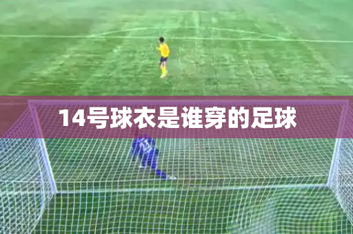 14号球衣是谁穿的足球