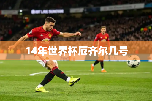 14年世界杯厄齐尔几号 14年世界杯厄齐尔几号
