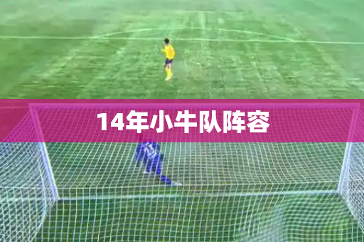 14年小牛队阵容