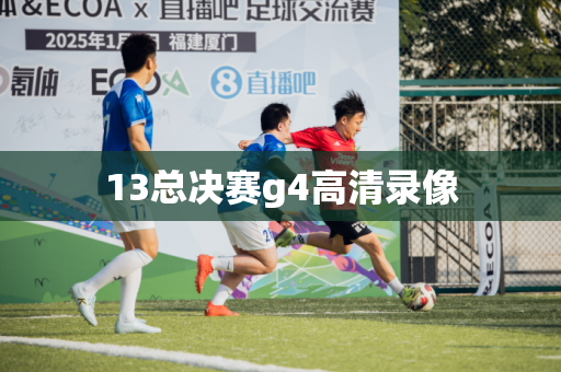 13总决赛g4高清录像