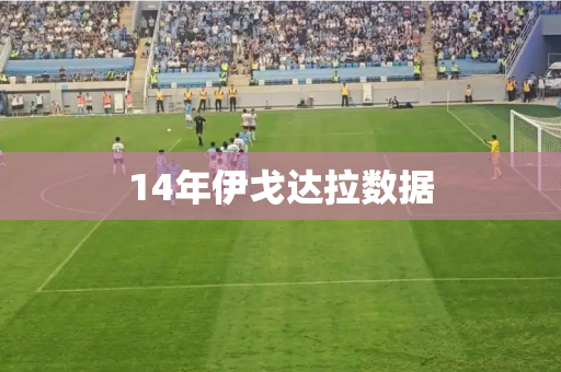 14年伊戈达拉数据 14年伊戈达拉数据