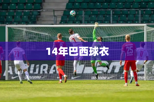 14年巴西球衣 14年巴西球衣