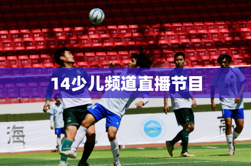 14少儿频道直播节目