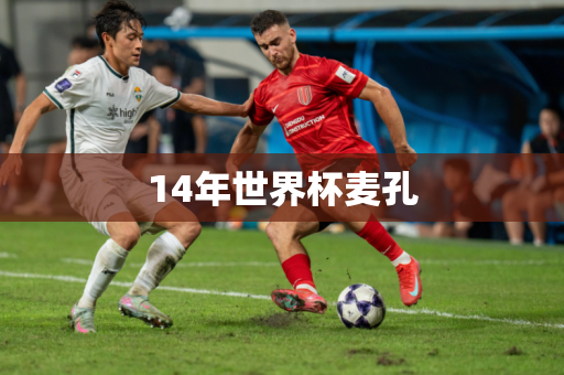 14年世界杯麦孔 14年世界杯麦孔